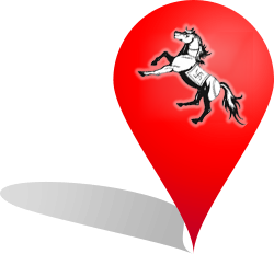 map icon big
